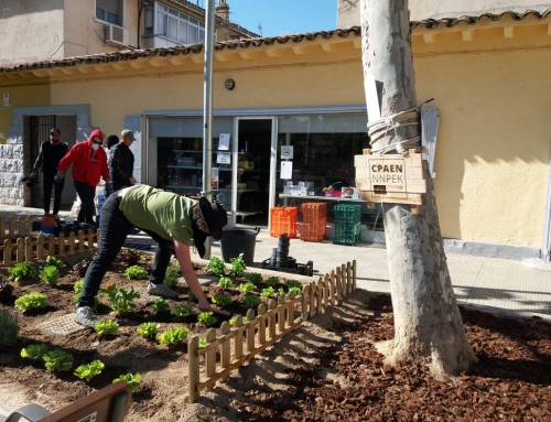 Asalto al jardin del comando borraja en Tudela